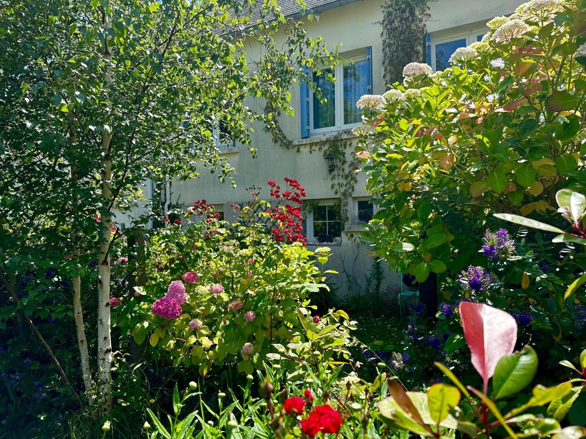 Agreable Maison A 500 M De La Plage ! Saint-Quay-Portrieux Eksteriør bilde